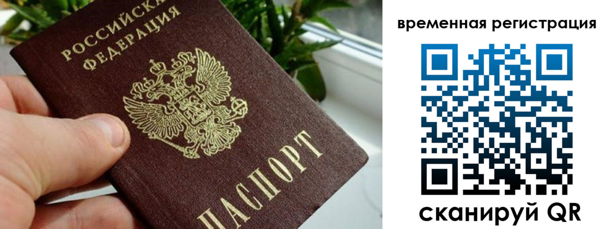 прописка поиск в Егорьевске